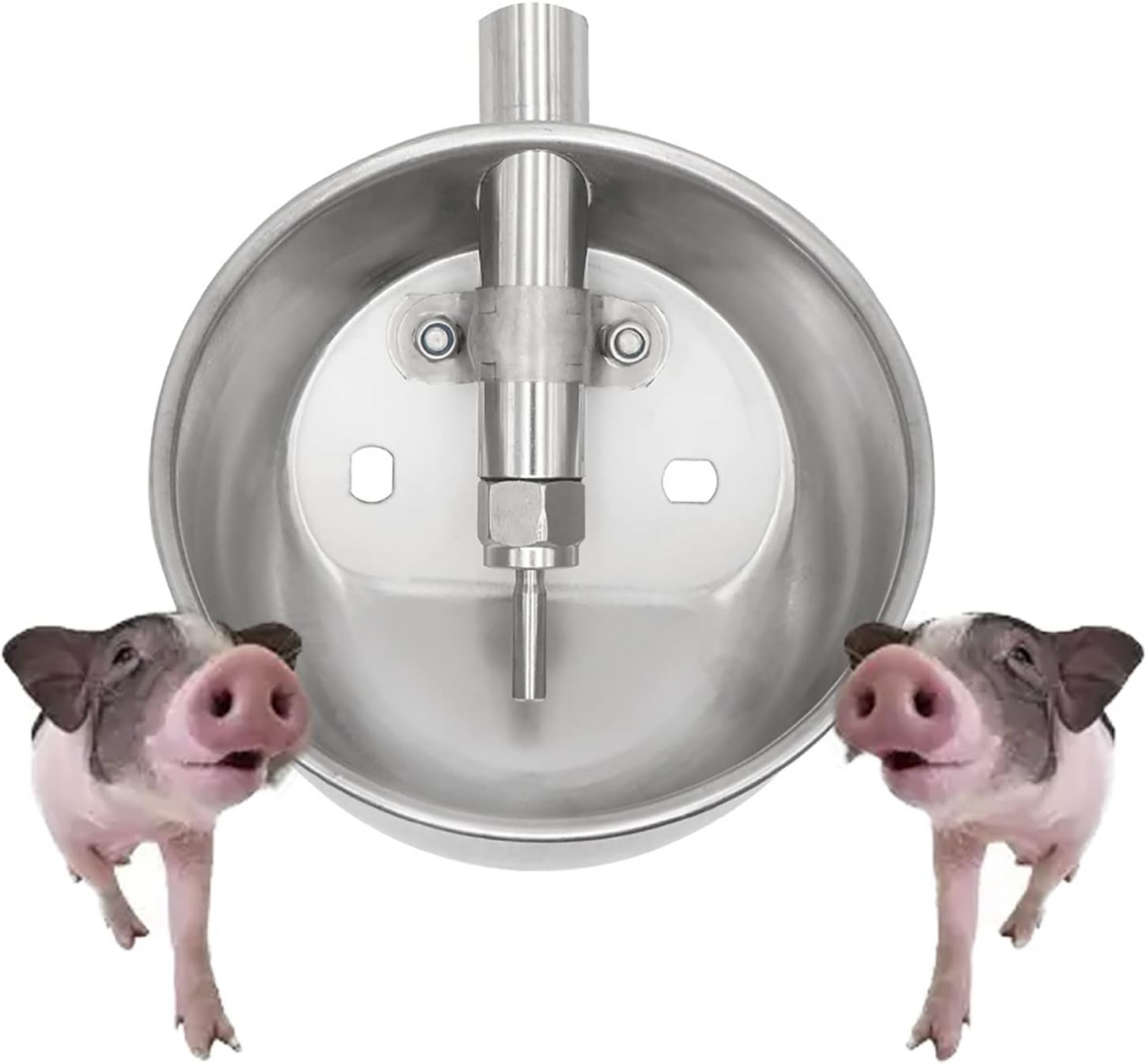HydroBowl™ - Automatikus itatórendszer sertések és nagytestű állatok számára