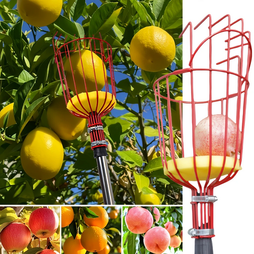 đ„1+1 AJĂNLAT!đ„FruitReachâą â Nagy magassĂĄgĂș gyĂŒmölcsszedĆ fej