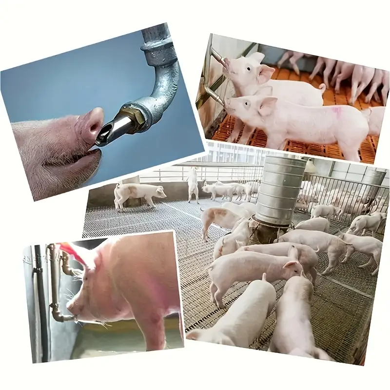 Pigex™ - 5 db-os automata cumikészlet itatómalacoknak és háziállatoknak