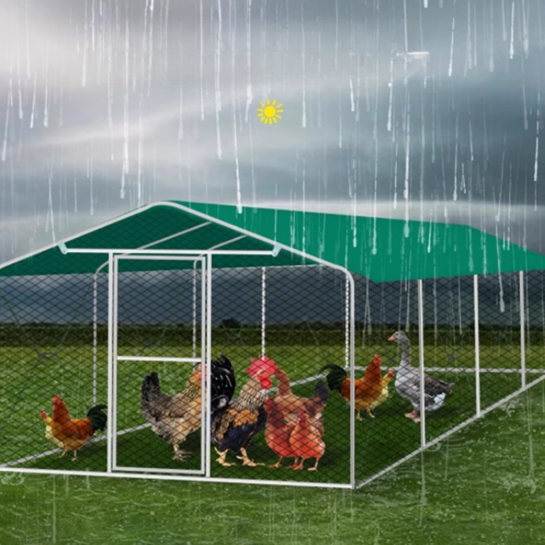 ShelterMax – Kültéri menedék és multifunkcionális madárház madaraknak (2x3x4m)