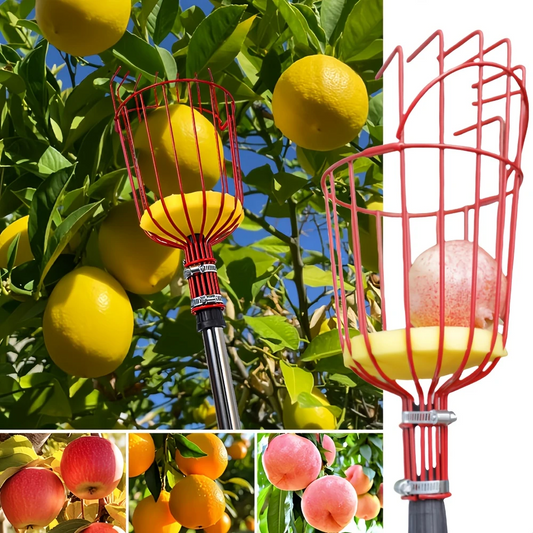 🔥1+1 AJÁNLAT!🔥FruitReach™ – Nagy magasságú gyümölcsszedő fej