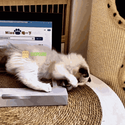 KittyTech™ laptop macskajáték