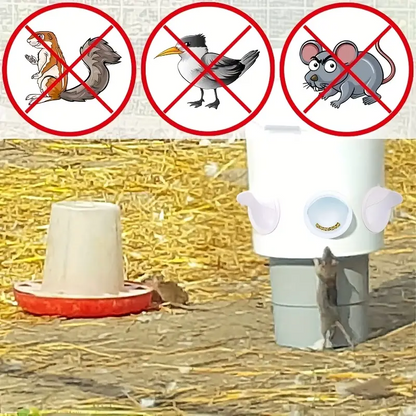PoultryFeeder™ - 5 darabos baromfietető készlet